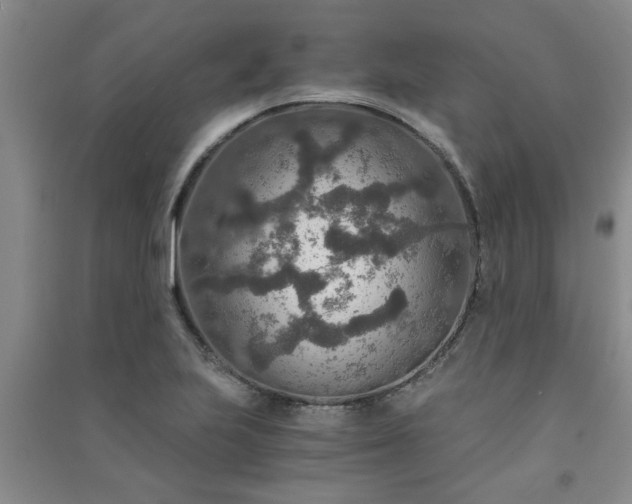X0000091361223200708171517