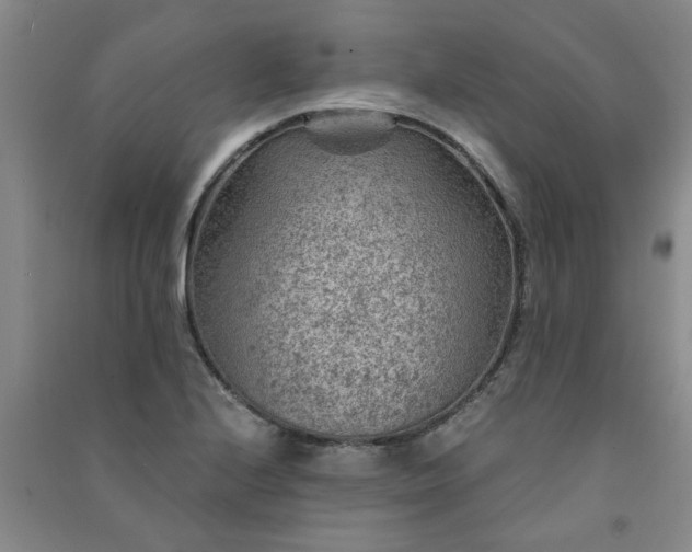 X0000091361224200708171517