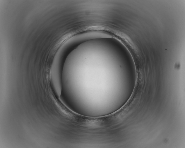 X0000091361225200708171517