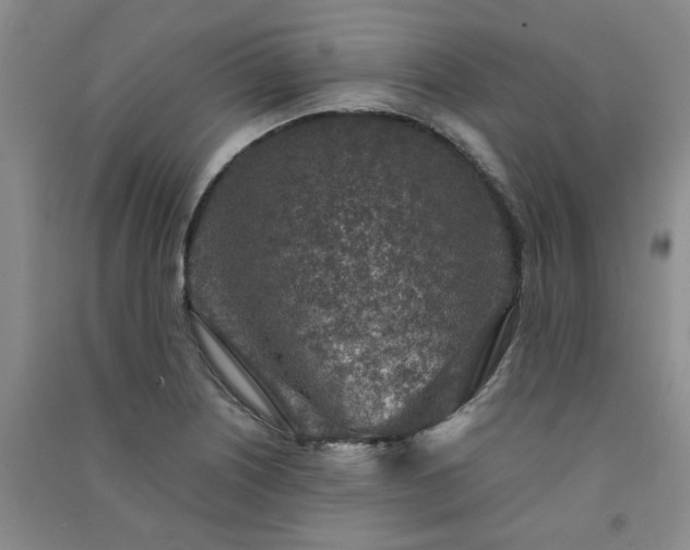 X0000091361226200708171517