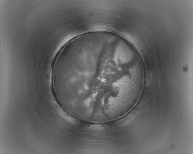 X0000091361227200708171517