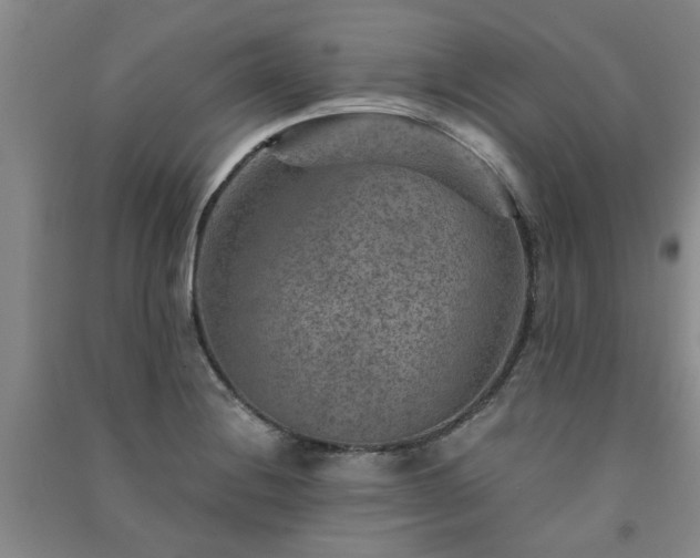 X0000091361228200708171517