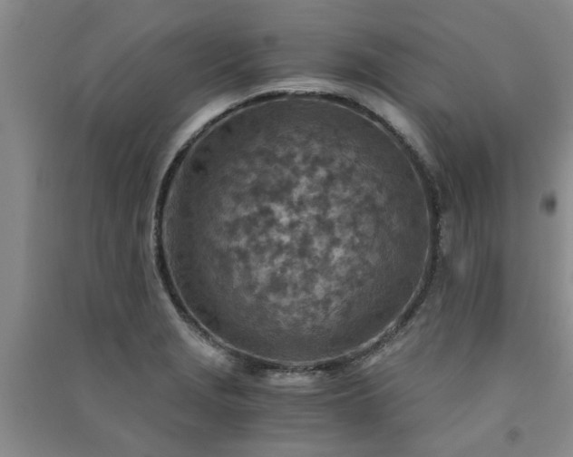 X0000091361229200708171517