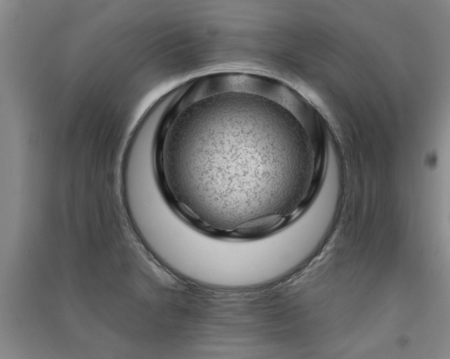 X0000091361230200708171517