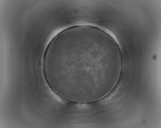 X0000091361231200708171517