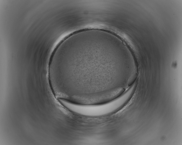 X0000091361232200708171517