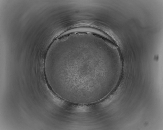 X0000091361233200708171517