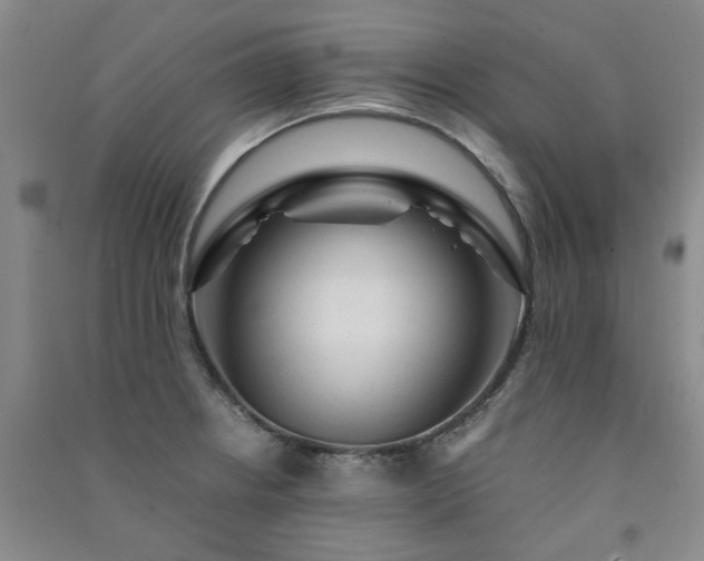 X0000091361234200708171517