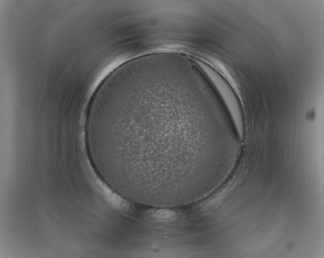 X0000091361235200708171517