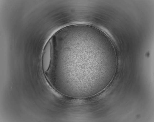 X0000091361236200708171517
