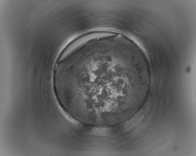 X0000091361237200708171517