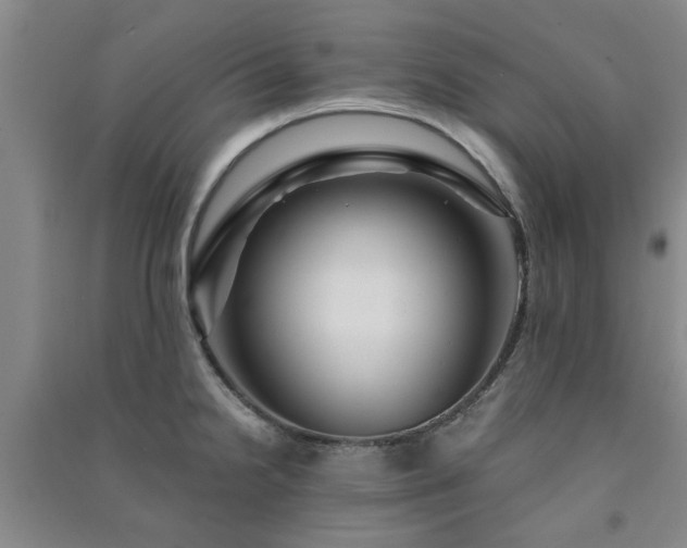 X0000091361238200708171517