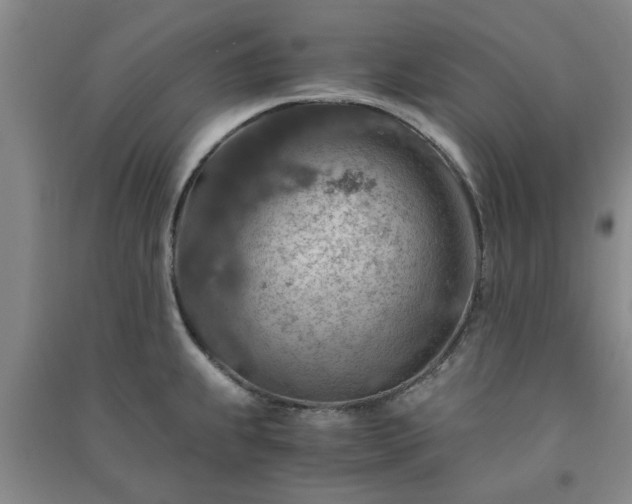 X0000091361239200708171517