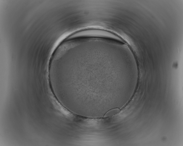 X0000091361240200708171517