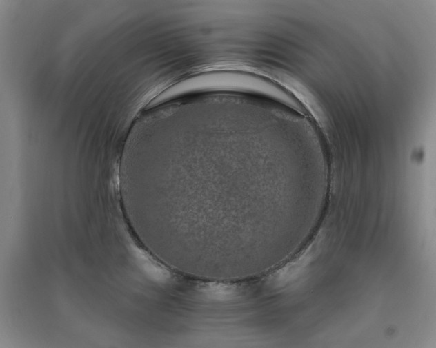 X0000091361241200708171517