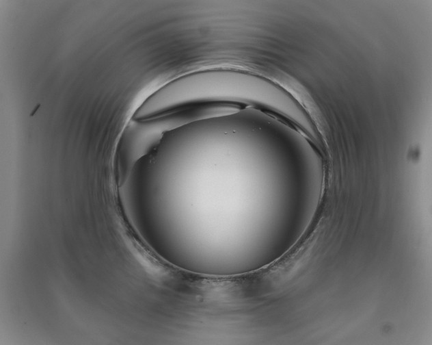 X0000091361242200708171517