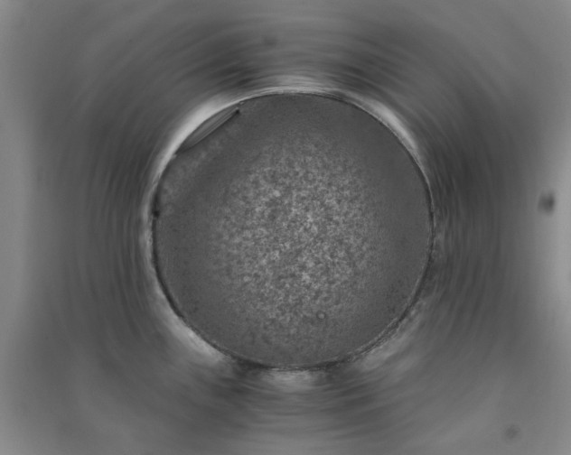 X0000091361243200708171517
