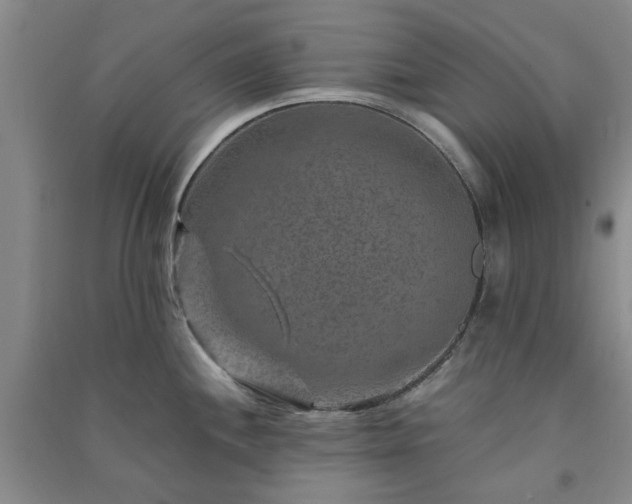 X0000091361244200708171517