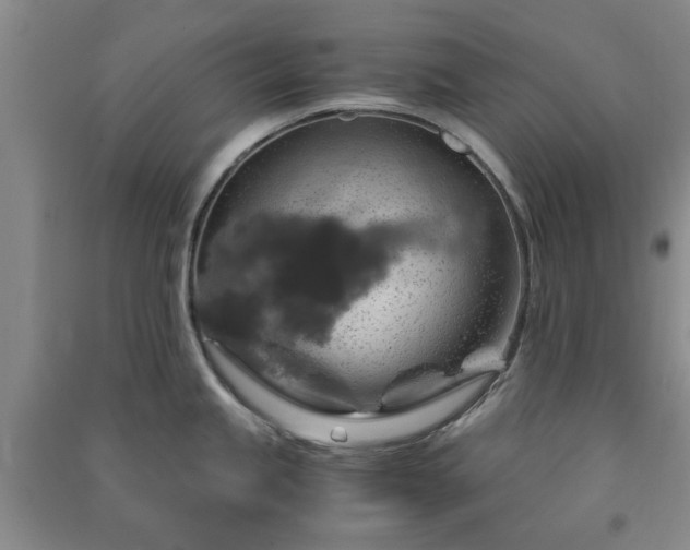 X0000091361245200708171517