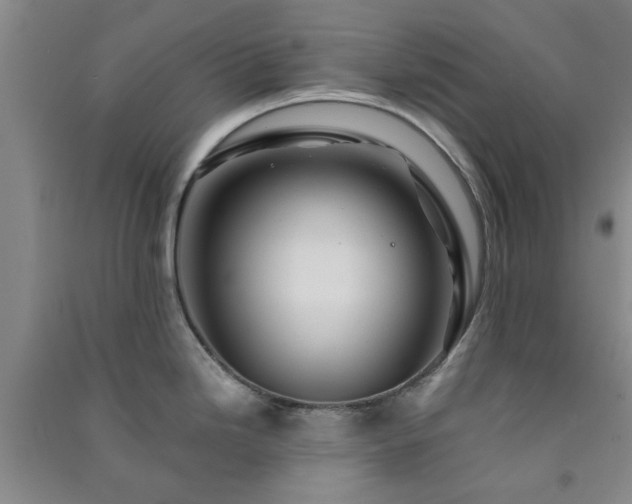 X0000091361246200708171517