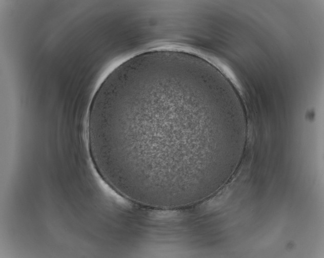 X0000091361247200708171517