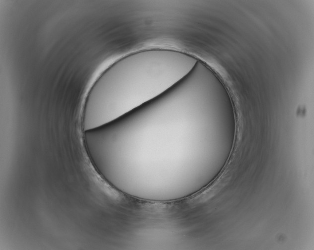 X0000091361248200708171517