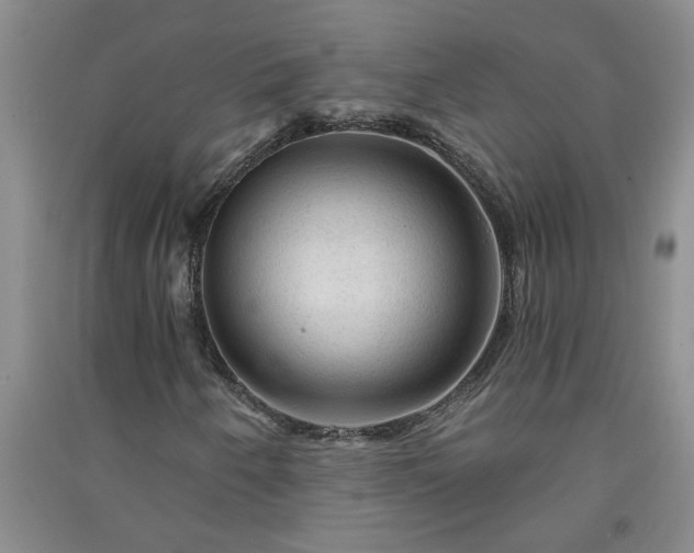 X0000091361250200708171517