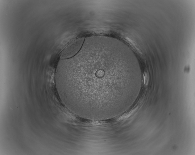 X0000091361251200708171516