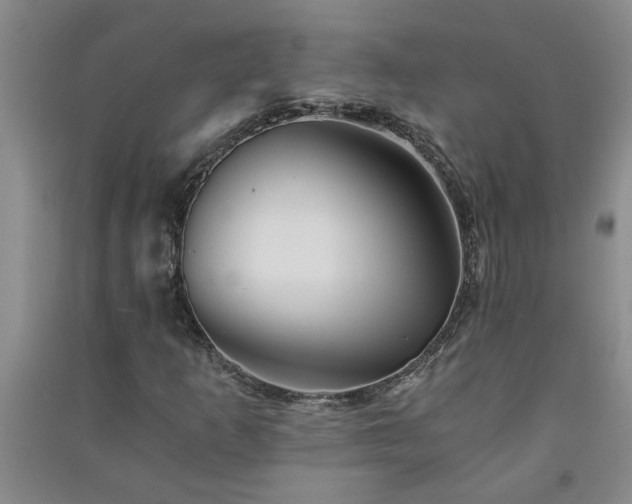 X0000091361253200708171516