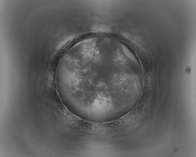 X0000091361254200708171516