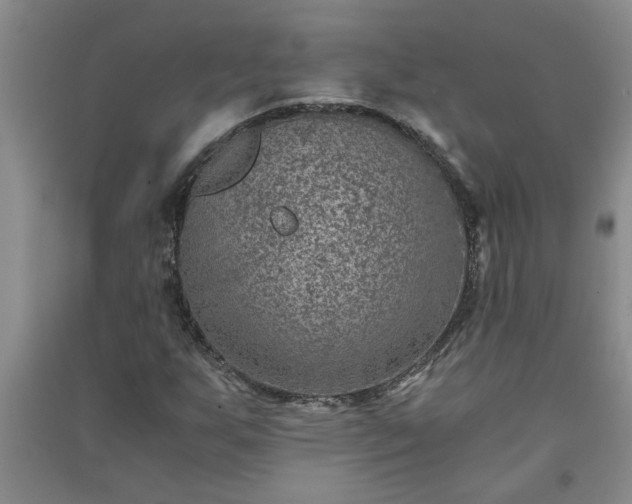 X0000091361255200708171516