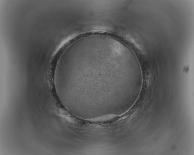 X0000091361256200708171516