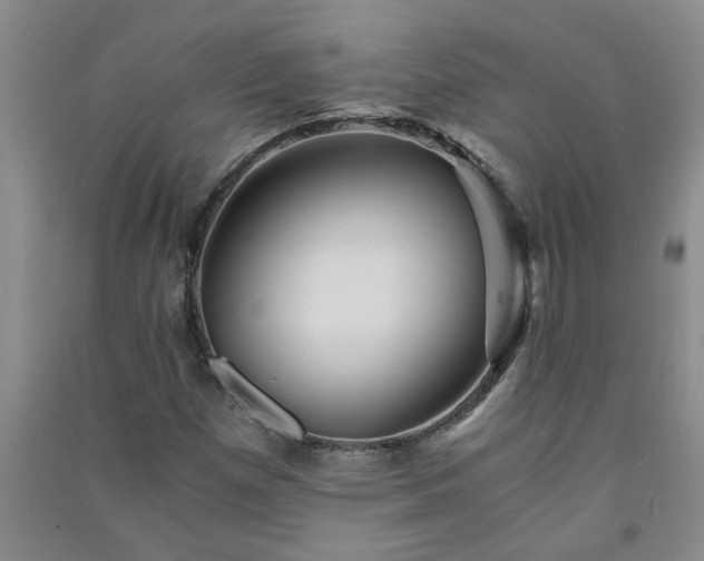 X0000091361257200708171516