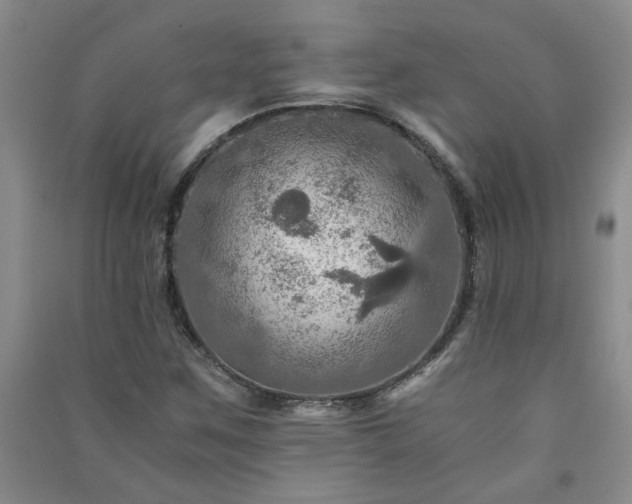 X0000091361259200708171516