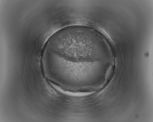 X0000091361260200708171516