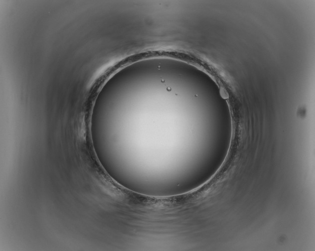 X0000091361262200708171516