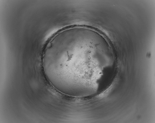 X0000091361263200708171516