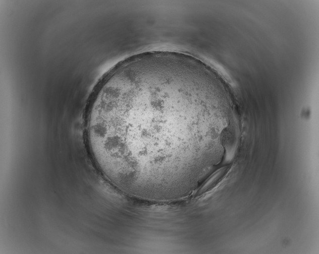 X0000091361264200708171516
