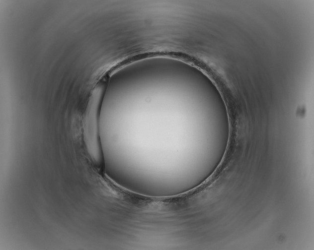 X0000091361265200708171516