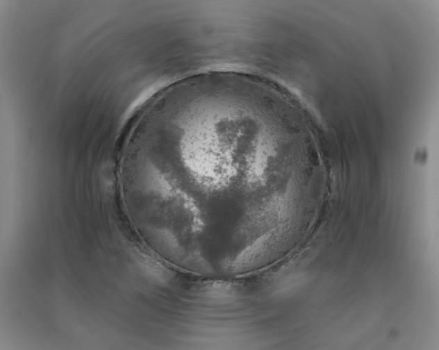 X0000091361266200708171516