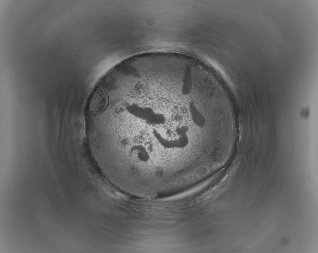 X0000091361267200708171516