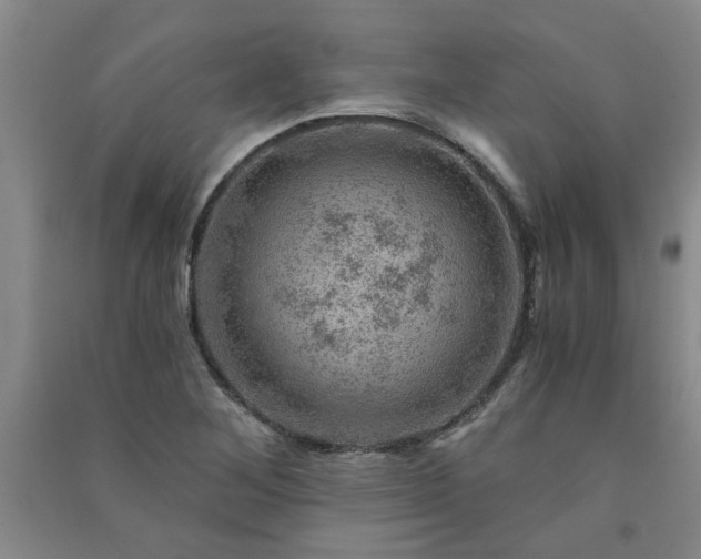 X0000091361268200708171516
