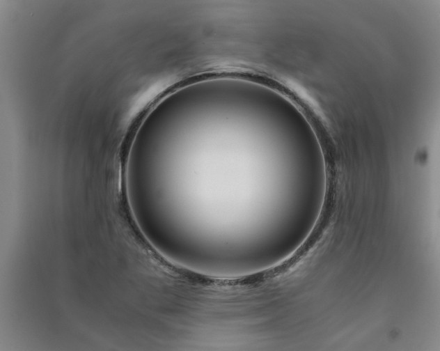 X0000091361269200708171516