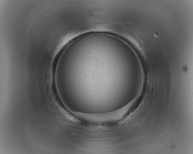 X0000091361270200708171516