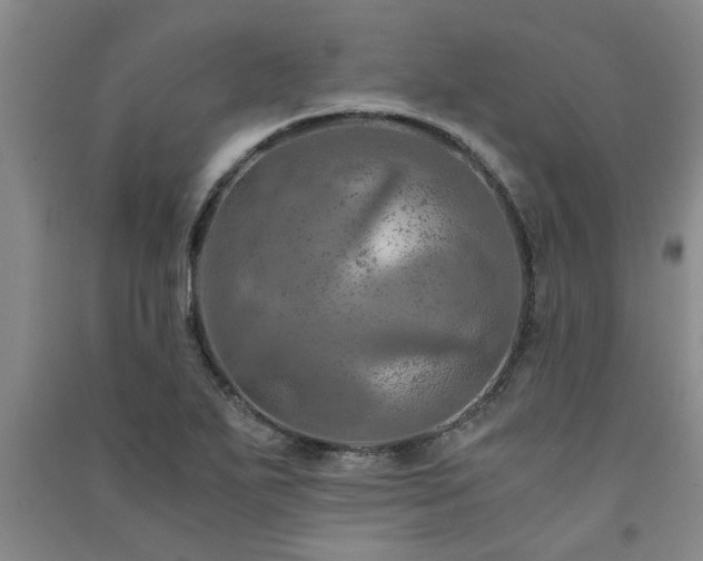X0000091361271200708171516