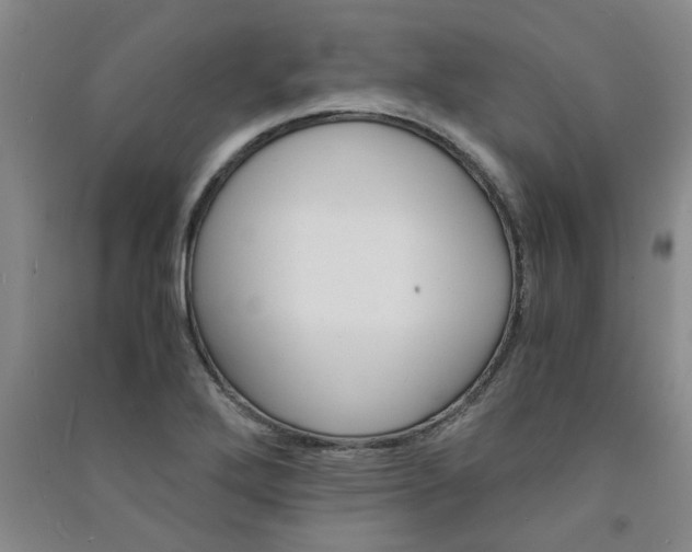 X0000091361272200708171516