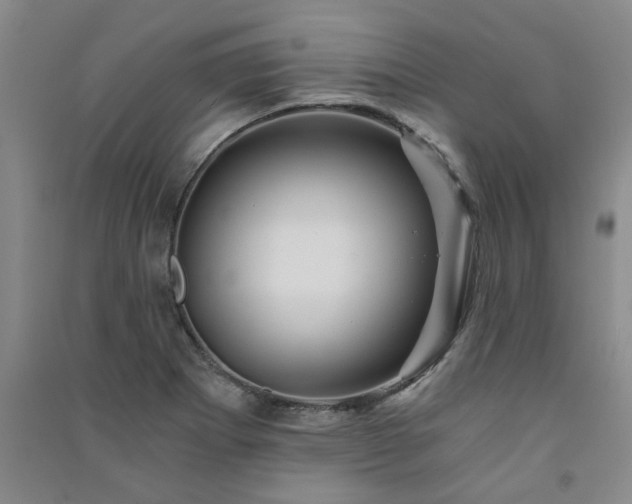 X0000091361273200708171516