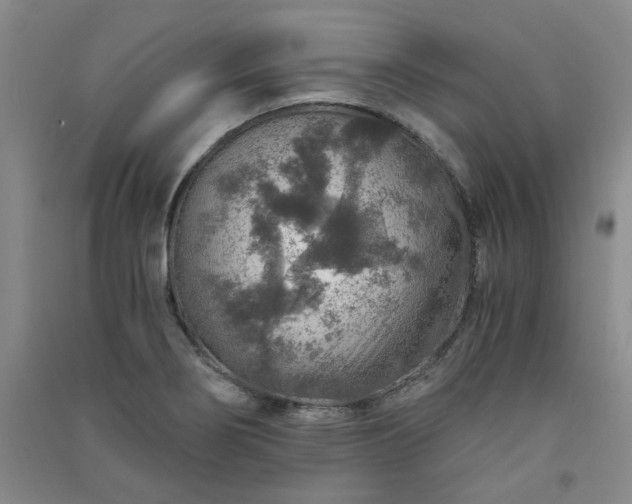 X0000091361274200708171516