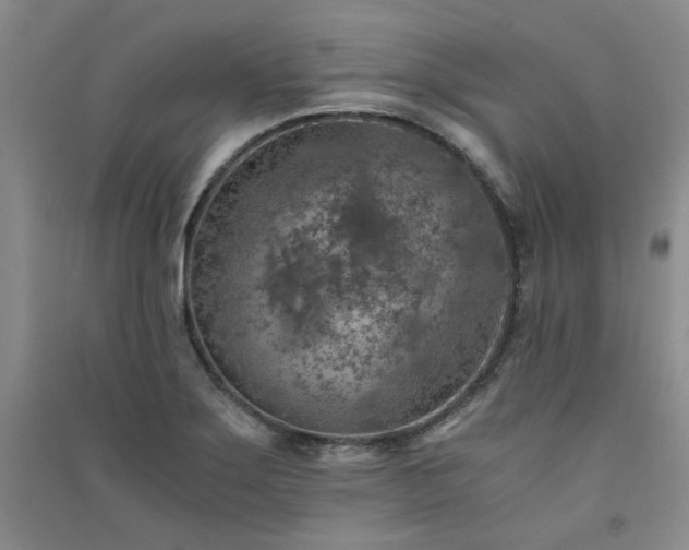 X0000091361275200708171516