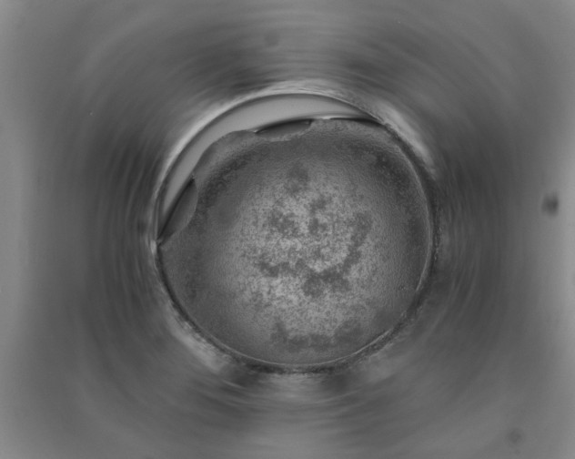 X0000091361276200708171516